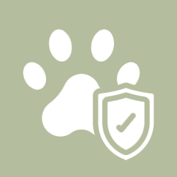 Pet Insurance